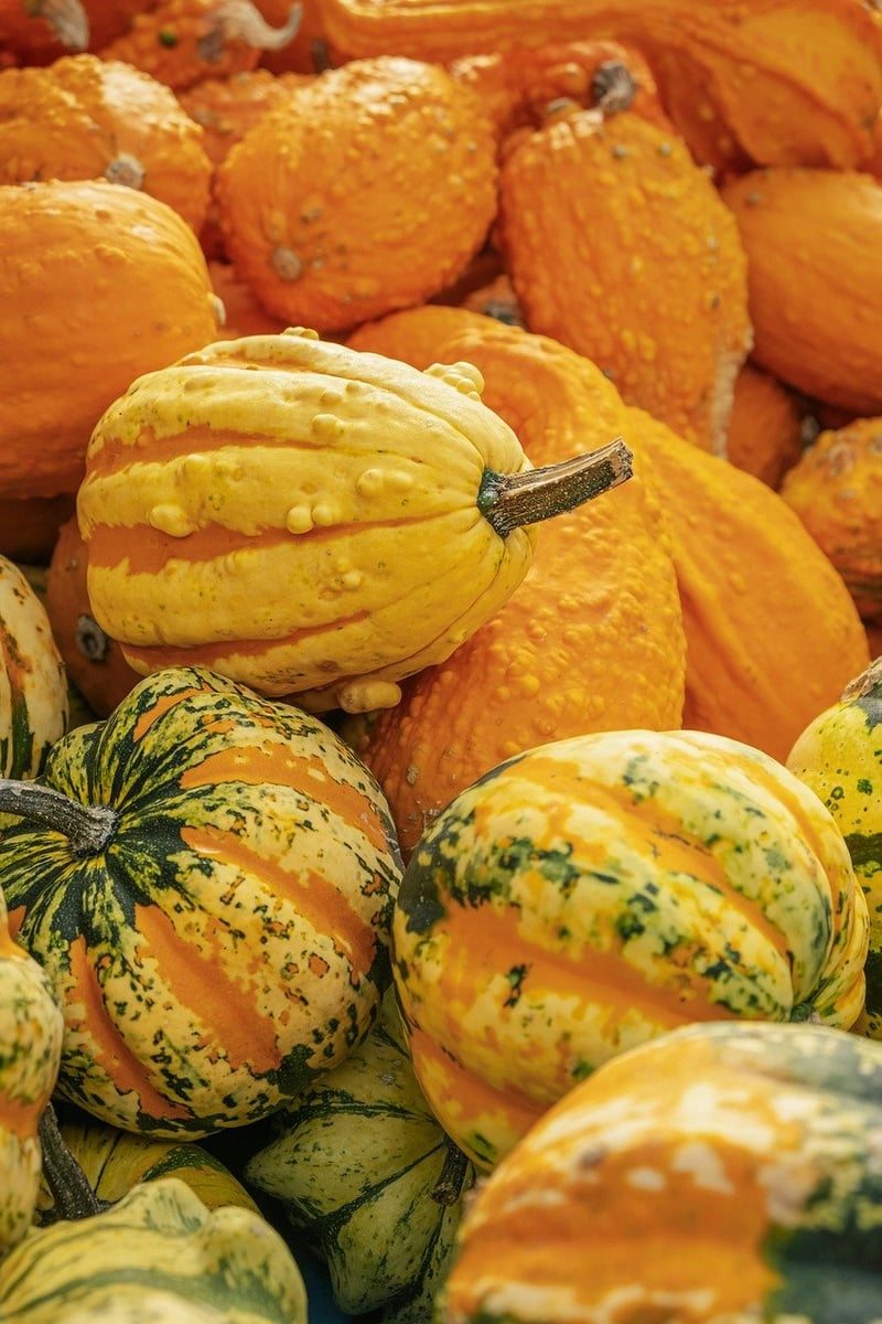 Seasonal Decor